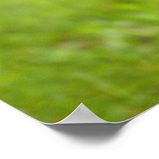 Ein kleiner Wolf Poster (Ecke)