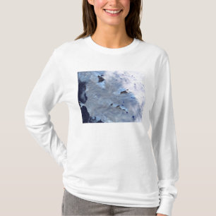 Ein kleines Feld von Gletschereinfassungen T-Shirt