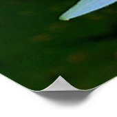 Ein kleines Freudenposter Poster (Ecke)