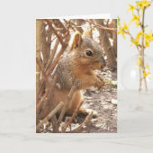 Ein kleines Hallo Karte (Gelbe Blume)