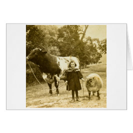 Ein kleines Kind wird sie führen