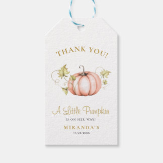 Ein kleines Pumpkin Baby Dusche danke Geschenkanhänger