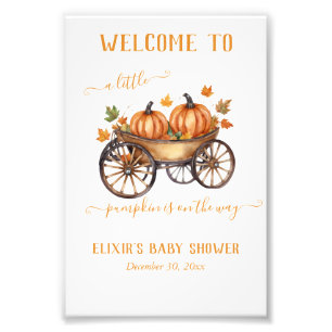Ein kleines Pumpkin Fall Baby Duschgeschlecht neut Fotodruck