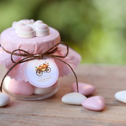 Ein kleines Pumpkin Fall Baby Duschgeschlecht neut Geschenkanhänger