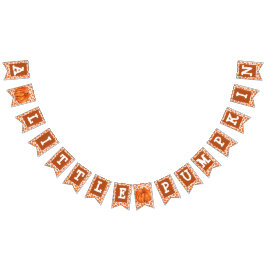 Ein kleines Pumpkin-Party-Banner Wimpelkette