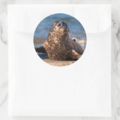 Ein kleines Siegel im Kinderbecken Runder Aufkleber (Tasche)