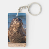 Ein kleines Siegel im Kinderbecken Schlüsselanhänger (Rückseite)