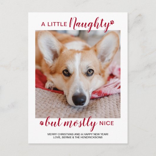 Ein kleines, unheimlich Personalisierter Hund Pet Postkarte (Vorderseite)