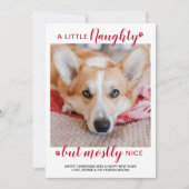 Ein kleines, unheimlich Personalisiertes Hundefüße Feiertagskarte (Vorderseite)