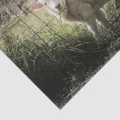 ein kleines weißes Lamm hinter einem Zaun auf Seidenpapier (Ausschnitt)