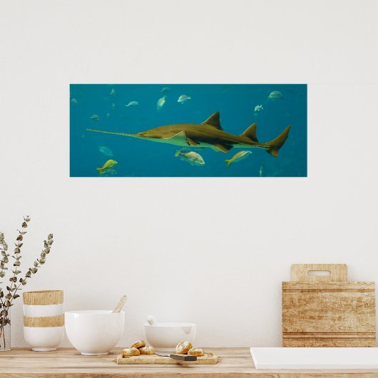 Ein Kleinzahnfisch Pristis pectinata Poster (Küche)