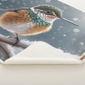Ein Kolibri im ersten Schnee im Winter Sherpadecke (3/4)