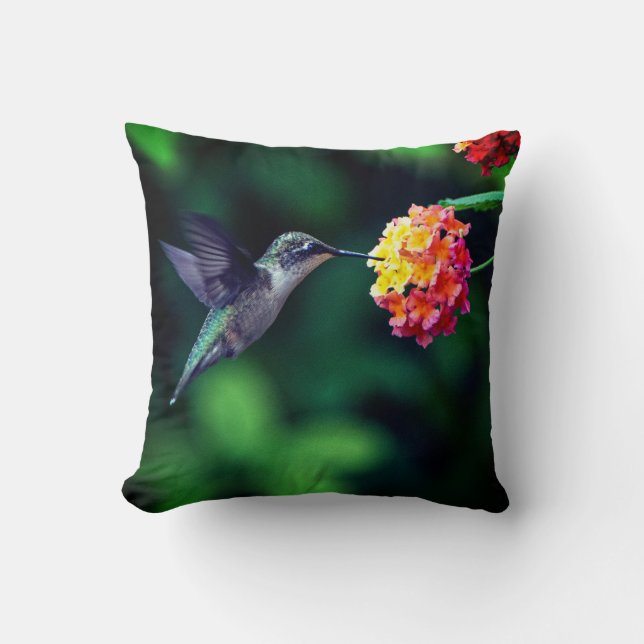 Ein Kolibri trinkt Nektar Grüner Hintergrund Kissen (Vorderseite)