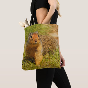 Ein kolumbianisches Erdeichhörnchen nähert sich Tasche