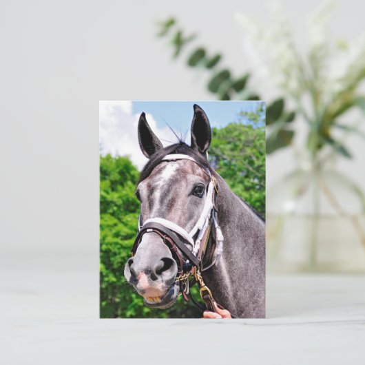 Ein König-Mann Postkarte (Stehend Vorderseite)