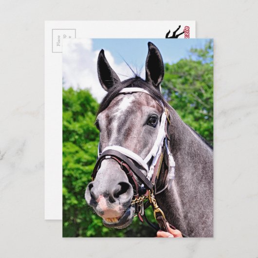 Ein König-Mann Postkarte (Vorne/Hinten)