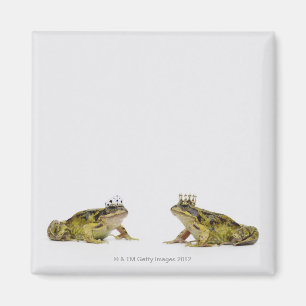 ein König und Königin Frosch, der sich anschaut Magnet