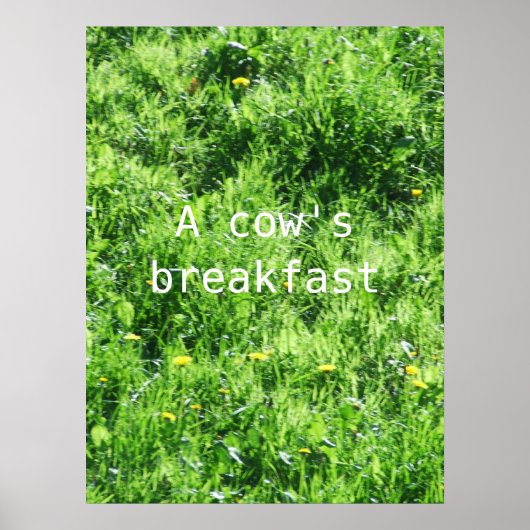 Ein Kuhfrühstück Poster (Vorne)