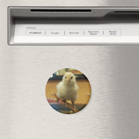 Ein Küken auf Skateboard dekorierter Magnet (In Situ (Geschirrspüler))