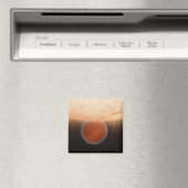 Ein künstlerisches Konzept Magnet (In Situ (Geschirrspüler))