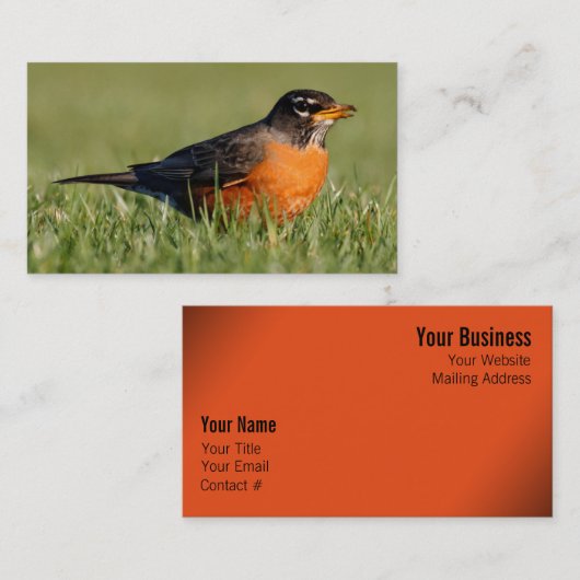 Ein kurioser amerikanischer Robin Visitenkarte (Vorne/Hinten)