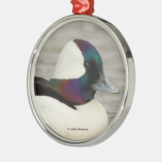 Ein kurioses Bufflehead Silbernes Ornament (Links)