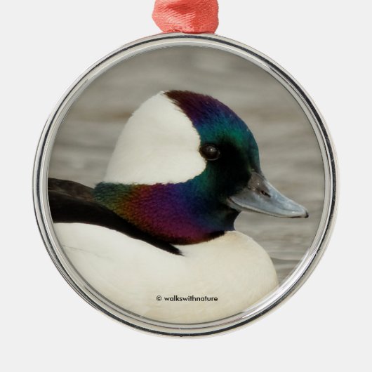 Ein kurioses Bufflehead Silbernes Ornament (Vorne)