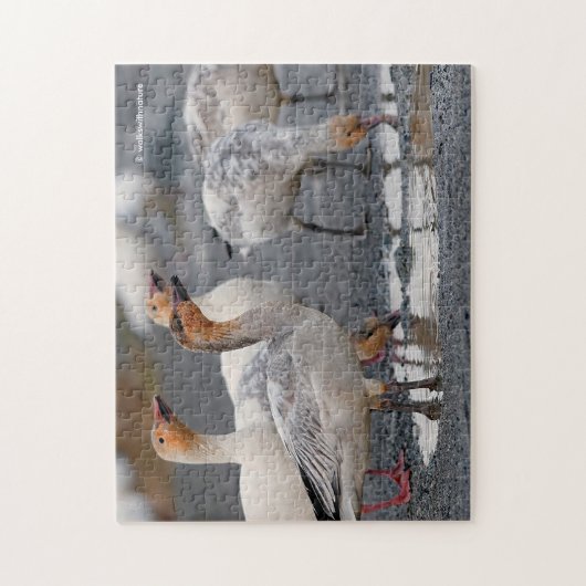 Ein kurioses Gepäck aus Schneegänsen Puzzle (Vertikal)