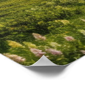 Ein kurvenreicher Weg auf einer grünen Wiese vor e Poster (Ecke)