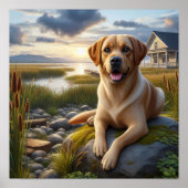 Ein Labrador-Retriever im Land Poster (Vorne)