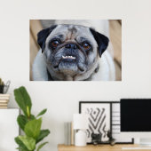 Ein lächelnder Mops Poster (Heimbüro)