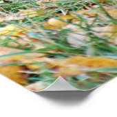 Ein lächelnder schwarzer Bär Poster (Ecke)