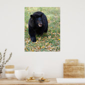 Ein lächelnder schwarzer Bär Poster (Küche)