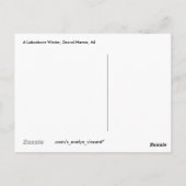 Ein Lakeshore Winter Postkarte (Rückseite)