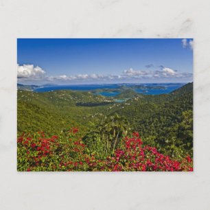 Ein landschaftliche von Cruse Bay, St. John Jungfr Postkarte