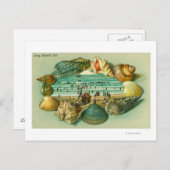 Ein Landschaftlicher Ausblick an die Muscheln Postkarte (Vorne/Hinten)