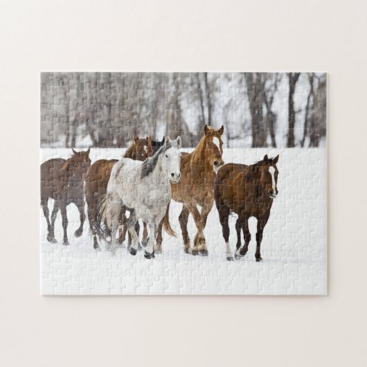 Ein landschaftlicher Winter Puzzle (Horizontal)