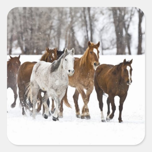 Ein landschaftlicher Winter Quadratischer Aufkleber (Vorderseite)