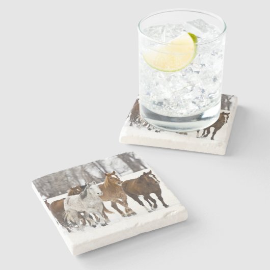 Ein landschaftlicher Winter Steinuntersetzer (Seitenansicht)