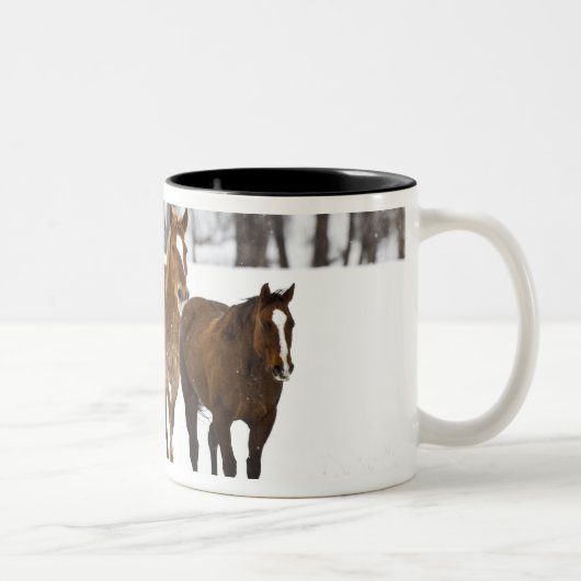 Ein landschaftlicher Winter Zweifarbige Tasse (Rechts)