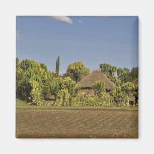 Ein landwirtschaftlich genutztes Feld vor Häusern Magnet