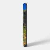 ein langer, kurvenreicher Weg zu den Descanso Gard iPhone Hülle (Linke Seite)