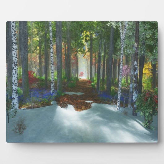 Ein langer Spaziergang Fotoplatte (Vorderseite)