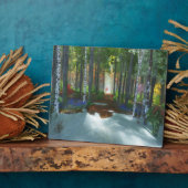 Ein langer Spaziergang Fotoplatte (Seite)