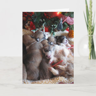 Ein langer Winter Nickerchen Corgi Puppy Weihnacht Feiertagskarte