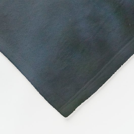 Ein langhaariger brauner und weißer fleecedecke (Ecke)