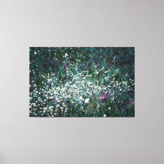 Ein Lark auf der Wiese Leinwanddruck (Vorderseite)