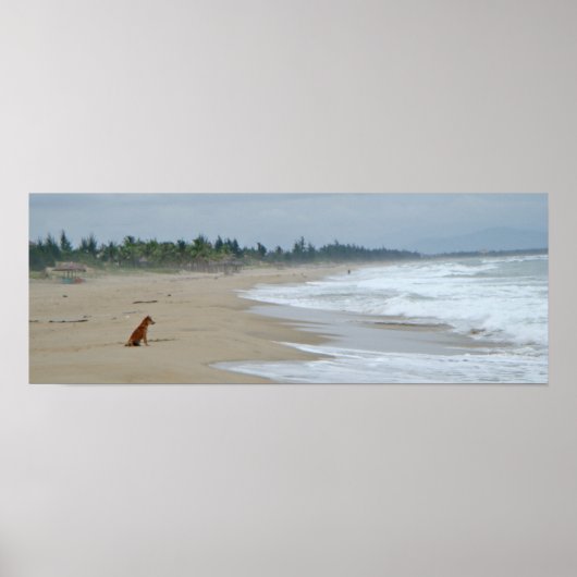 Ein Leben für Hunde Poster (Vorne)