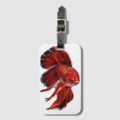 Ein lebendiger roter Kampffisch schwimmt. Gepäckanhänger (Vorderseite Vertikal)