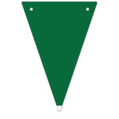 Ein lebendiges grünes Blatt mit verschiedenen Vene Wimpelkette (Zweite Fahne)